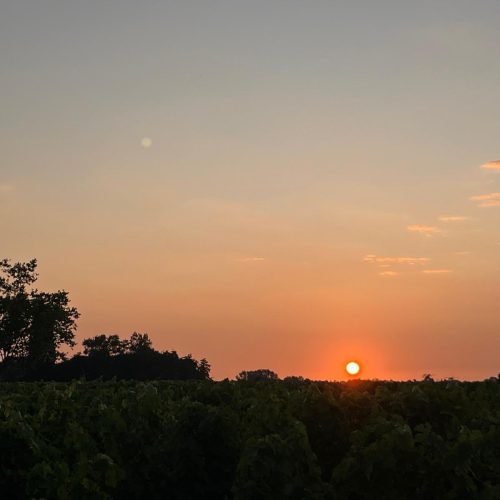 Chateau Haut Nouchet