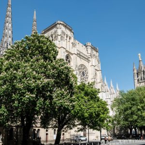 chambres d'hôtes Martillac Cathédrale